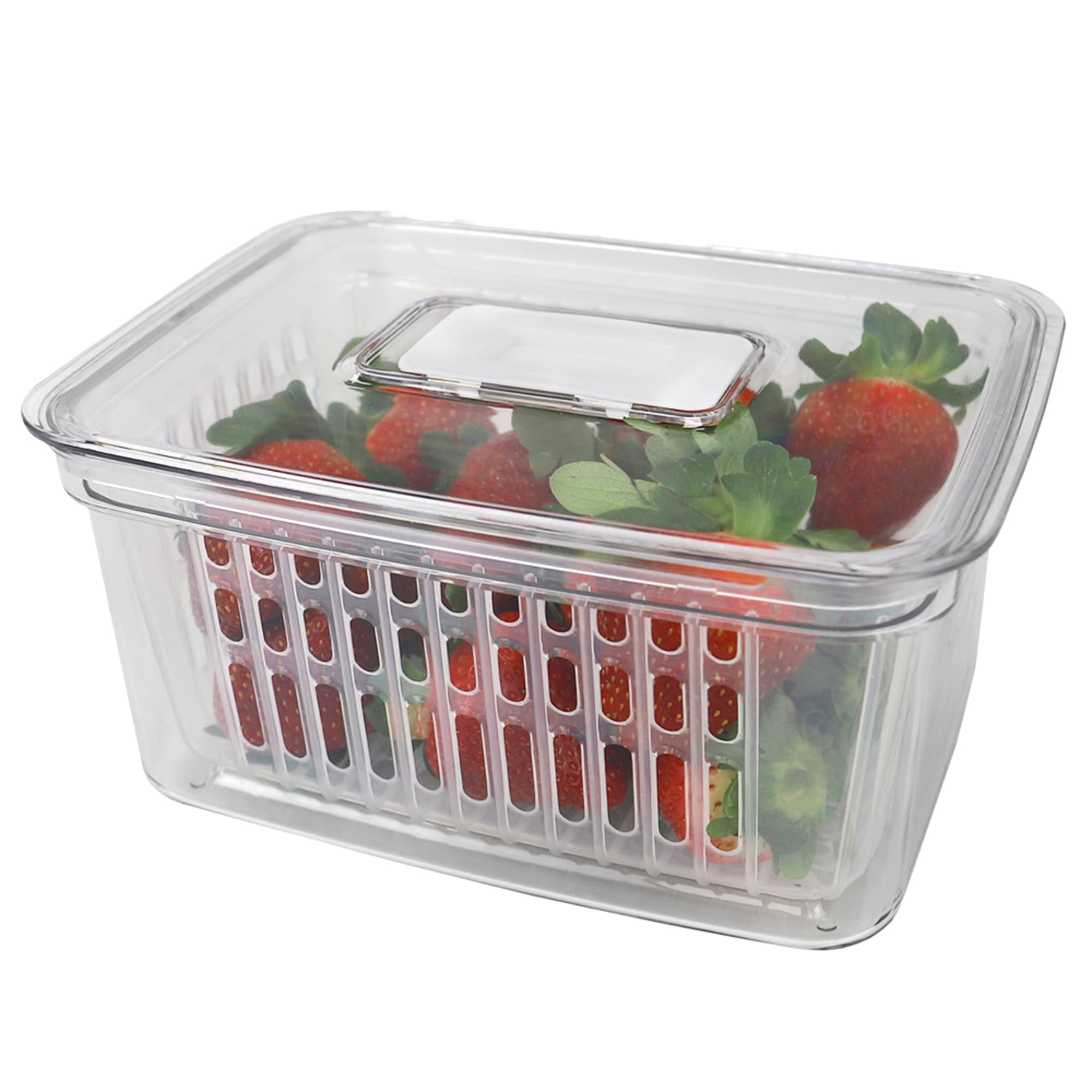 Home Basics Keep Fresh Small Vegetable Keeper, Clear $4.00 EACH, CASE PACK OF 12
