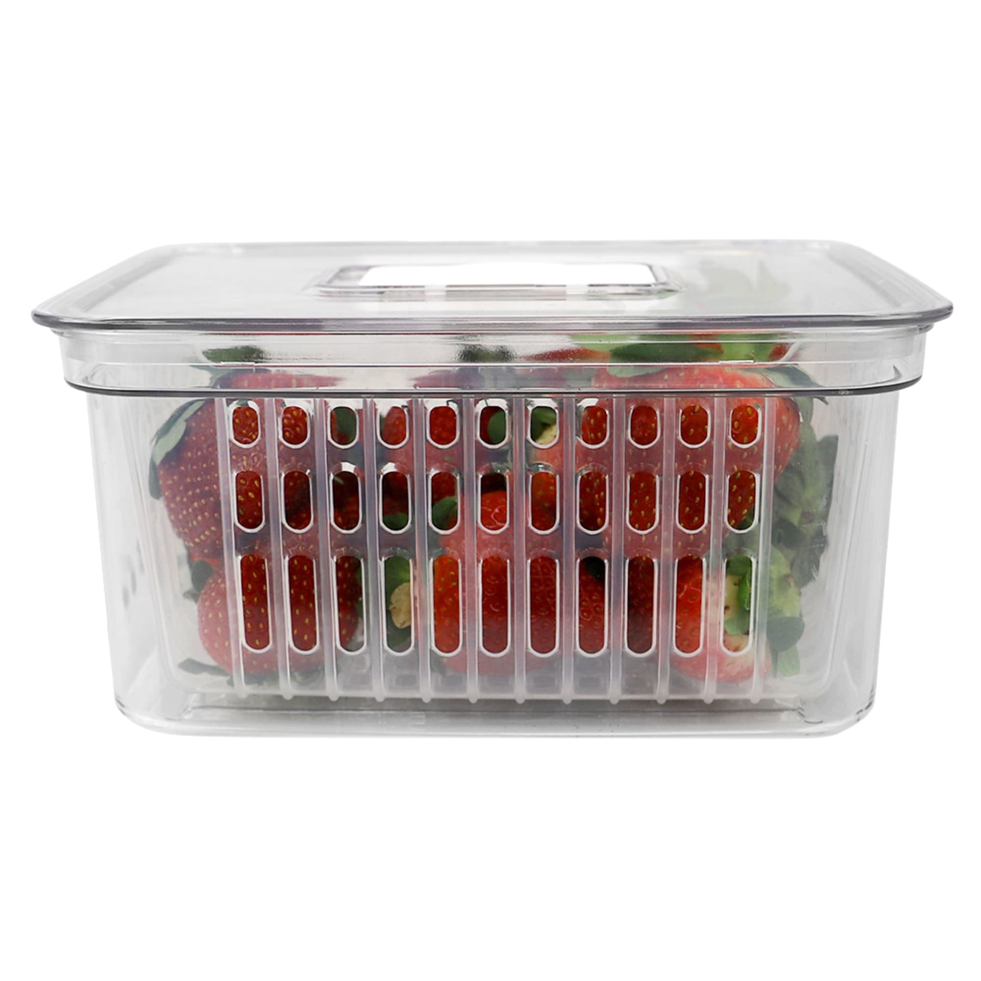 Home Basics Keep Fresh Small Vegetable Keeper, Clear $4.00 EACH, CASE PACK OF 12