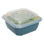 Load image into Gallery viewer, Home Basics Plastic Container with Strainer Basket and Clear Lid, Multi-Color $2.00 EACH, CASE PACK OF 12
