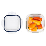 Load image into Gallery viewer, Michael Graves Design 27 Ounce High Borosilicate Glass Square Food Storage Container with Indigo Rubber Seal $5.00 EACH, CASE PACK OF 12
