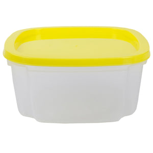 Sterilite™ Container (1.2 L/5 Cup))