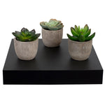 Load image into Gallery viewer, Home Basics Short Rectangle Floating MDF Shelf, Black $5.00 EACH, CASE PACK OF 6
