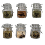 Load image into Gallery viewer, Home Basics Ludlow 3 oz. Glass Canister - Assorted Colors
